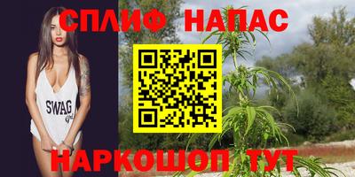 сатива Волгодонск