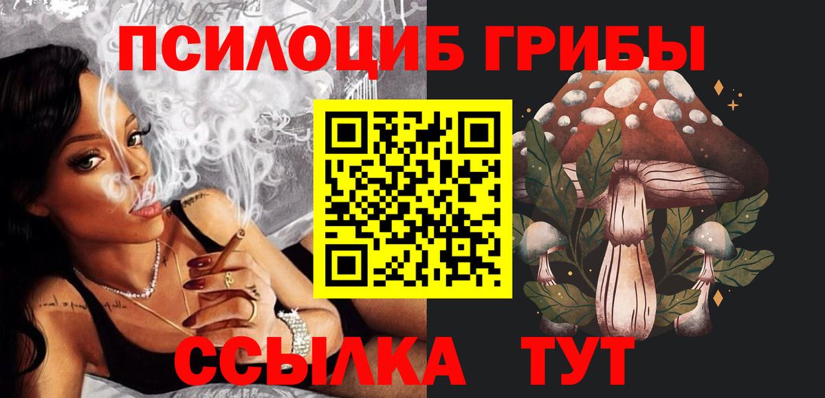 Псилоцибиновые грибы GOLDEN TEACHER  Вход с VPN  Щёлково 